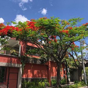 Hotel Arbol De Fuego